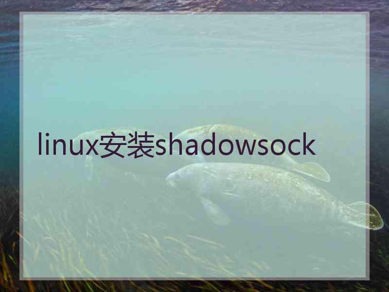 linux安装shadowsock