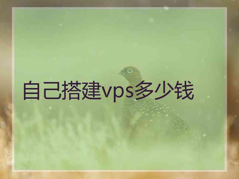 自己搭建vps多少钱