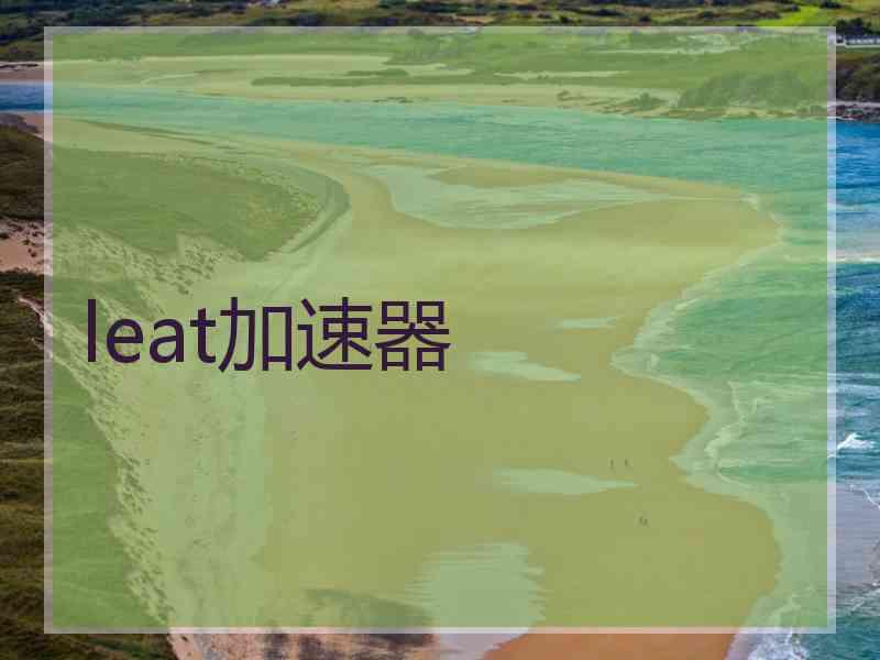 leat加速器