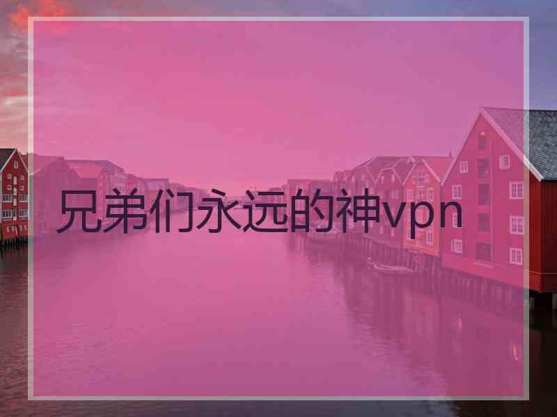 兄弟们永远的神vpn