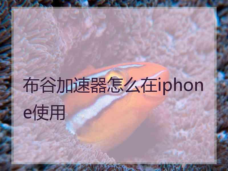 布谷加速器怎么在iphone使用