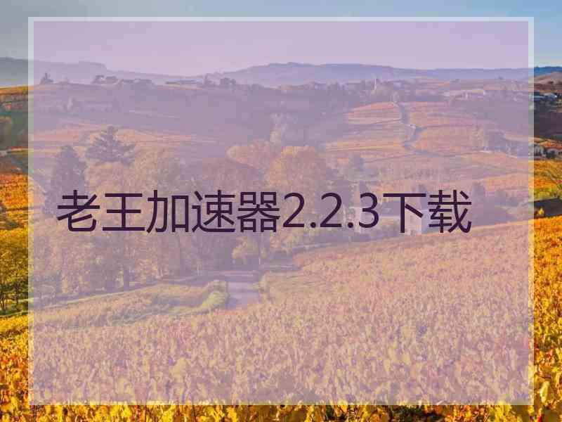 老王加速器2.2.3下载