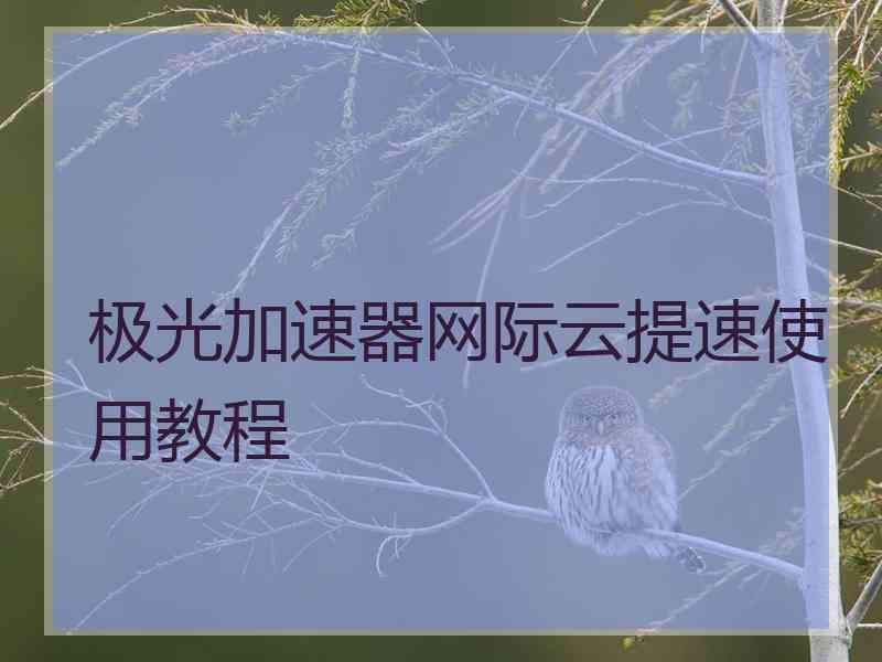 极光加速器网际云提速使用教程