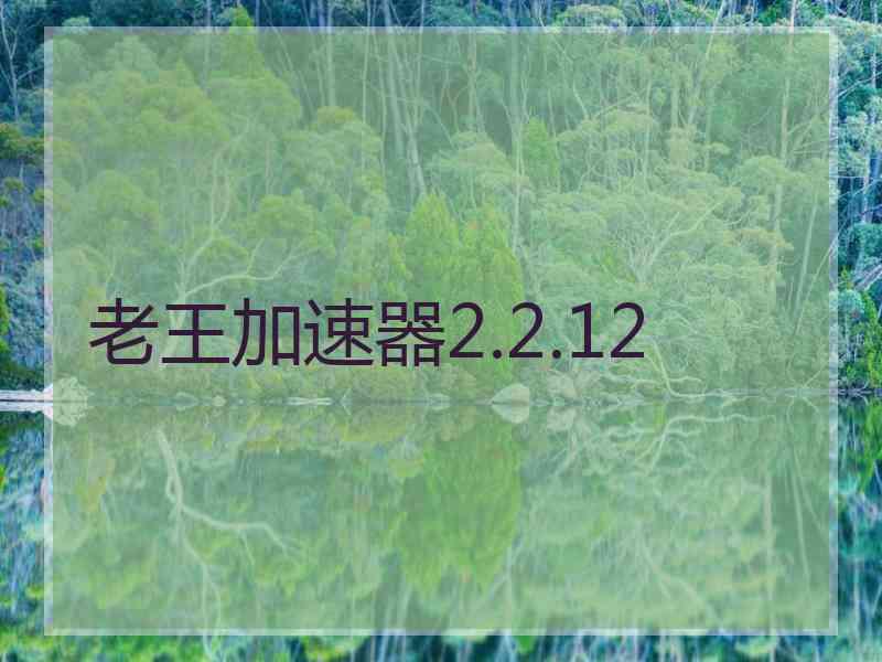 老王加速器2.2.12