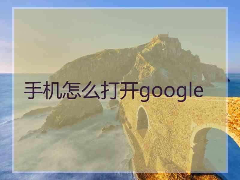 手机怎么打开google