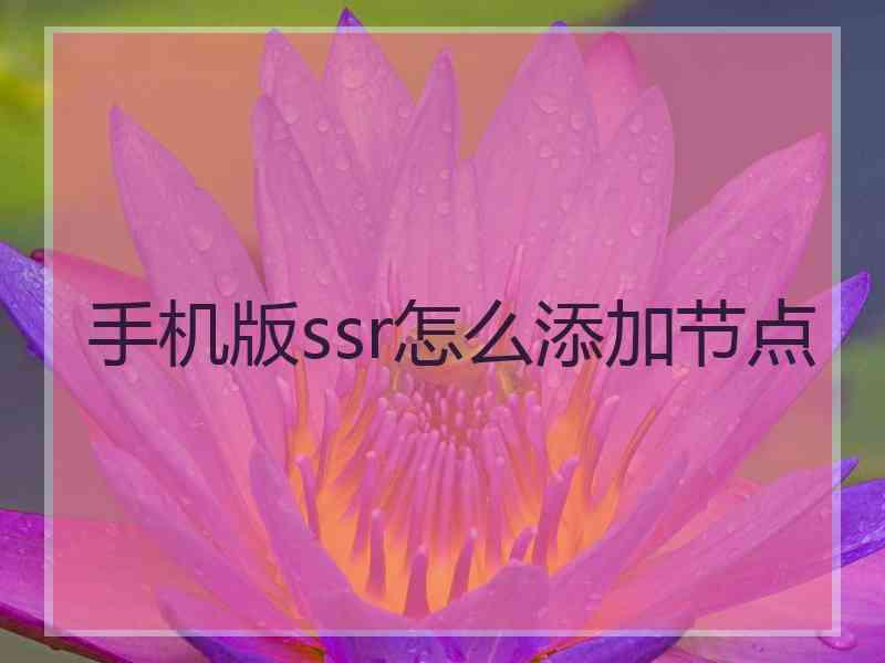 手机版ssr怎么添加节点