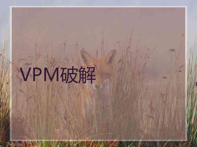 VPM破解