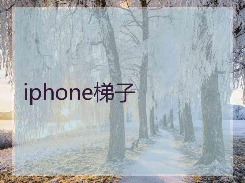 iphone梯子