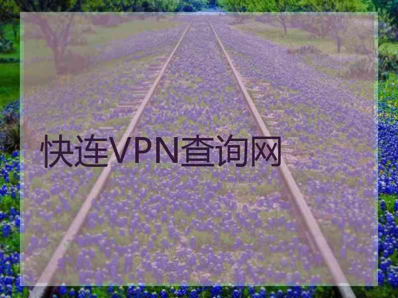 快连VPN查询网