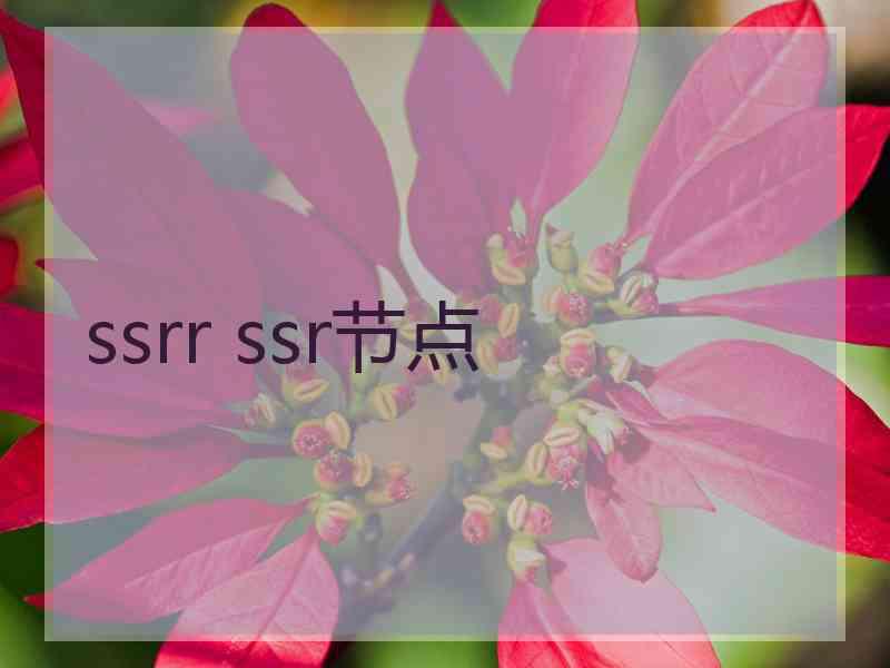 ssrr ssr节点