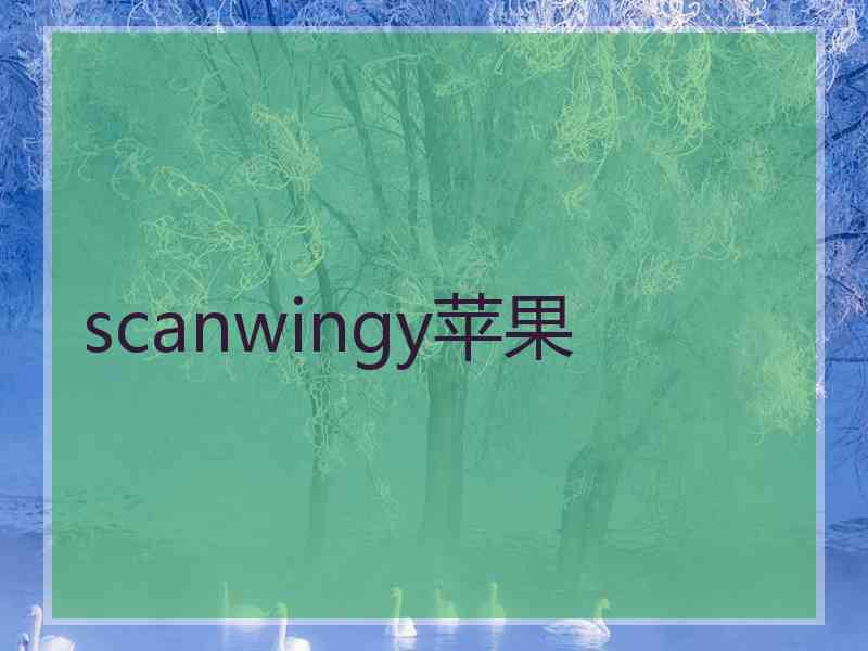 scanwingy苹果