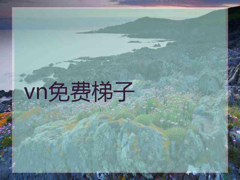 vn免费梯子