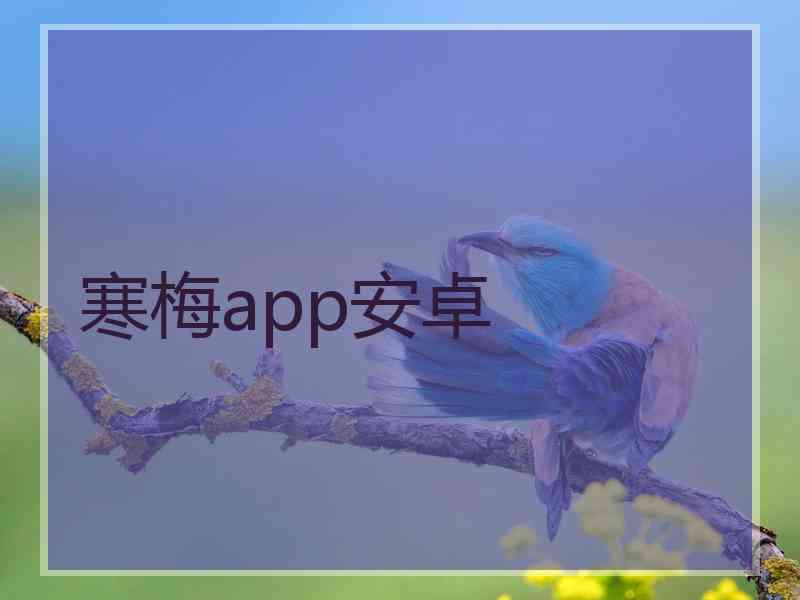 寒梅app安卓