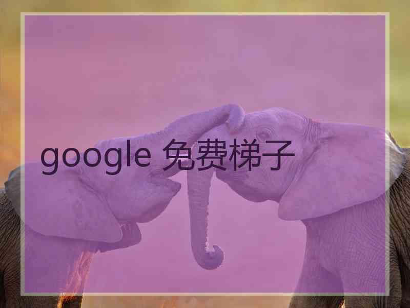 google 免费梯子