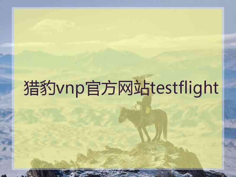 猎豹vnp官方网站testflight