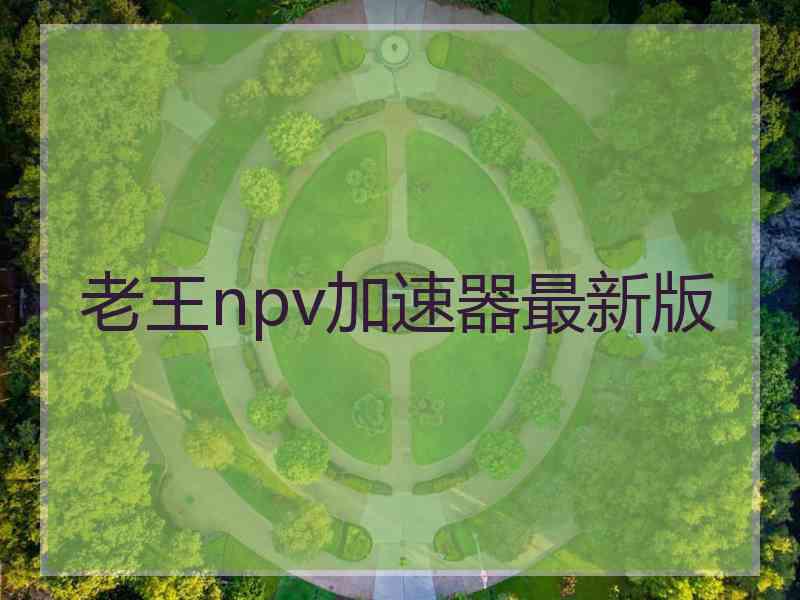 老王npv加速器最新版