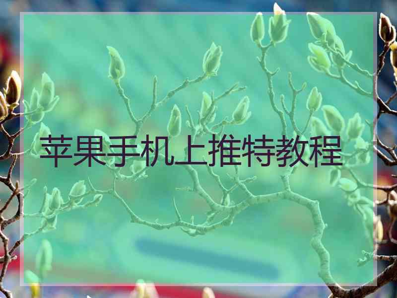 苹果手机上推特教程