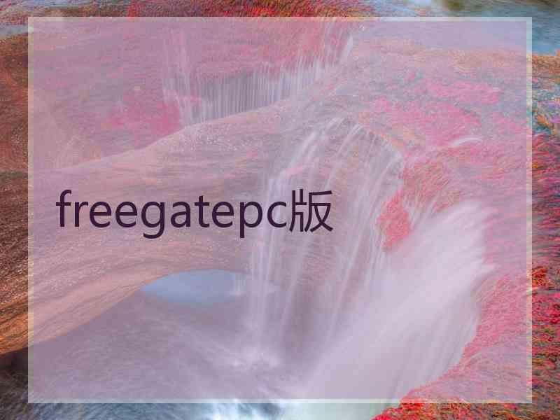 freegatepc版