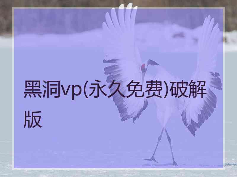 黑洞vp(永久免费)破解版