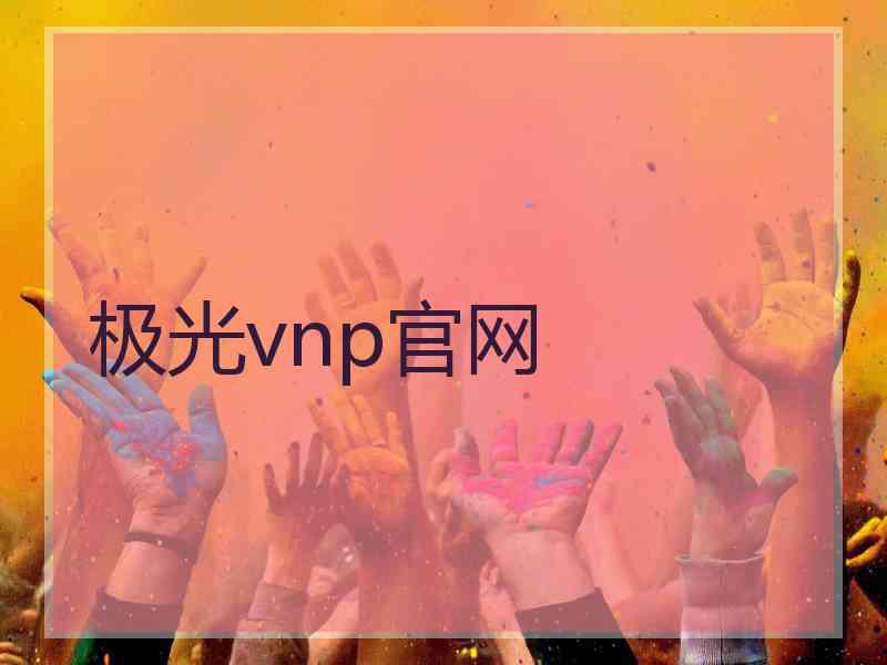 极光vnp官网