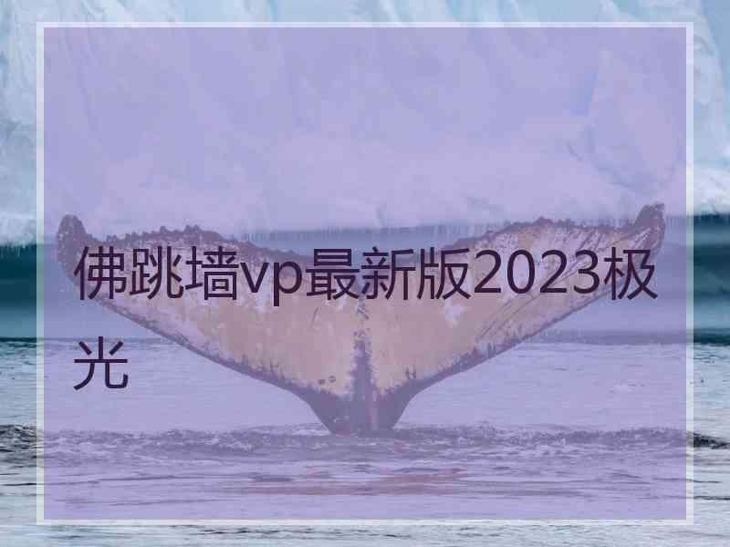 佛跳墙vp最新版2023极光