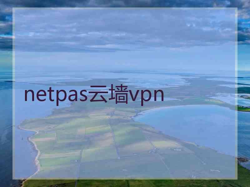 netpas云墙vpn