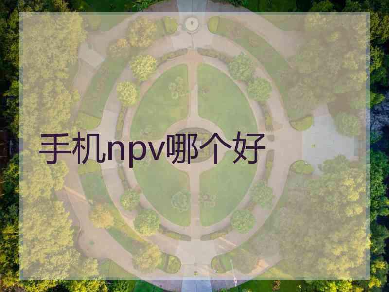 手机npv哪个好