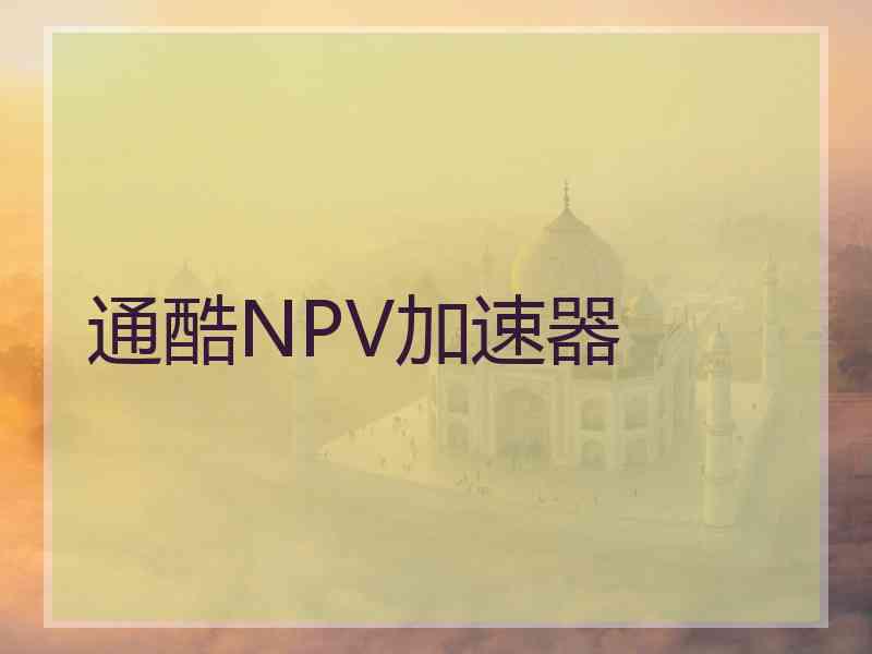 通酷NPV加速器