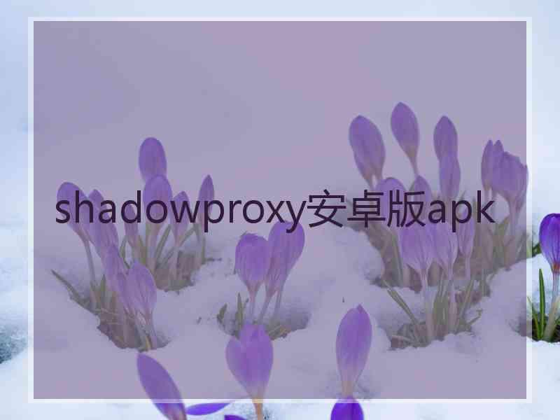 shadowproxy安卓版apk