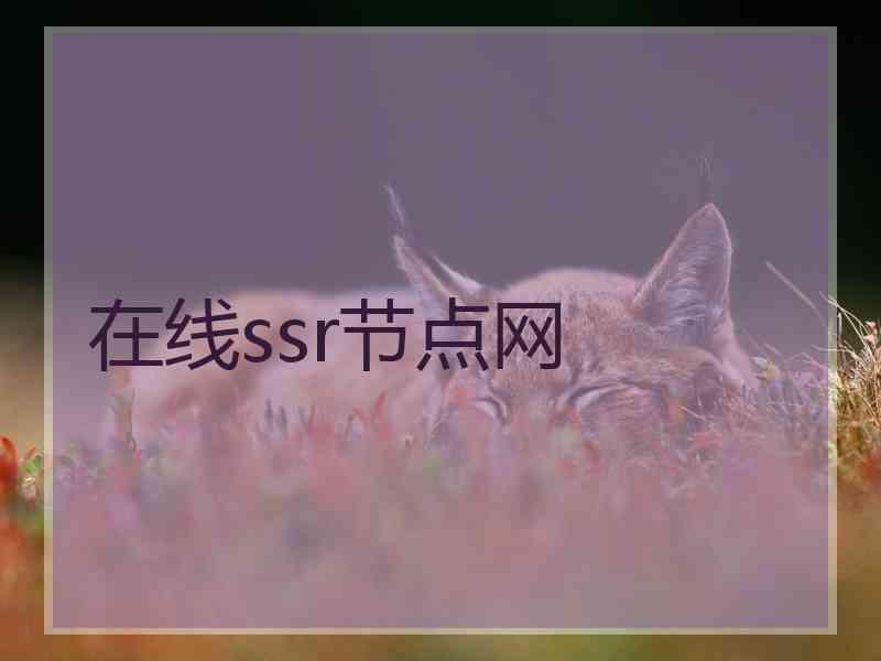 在线ssr节点网