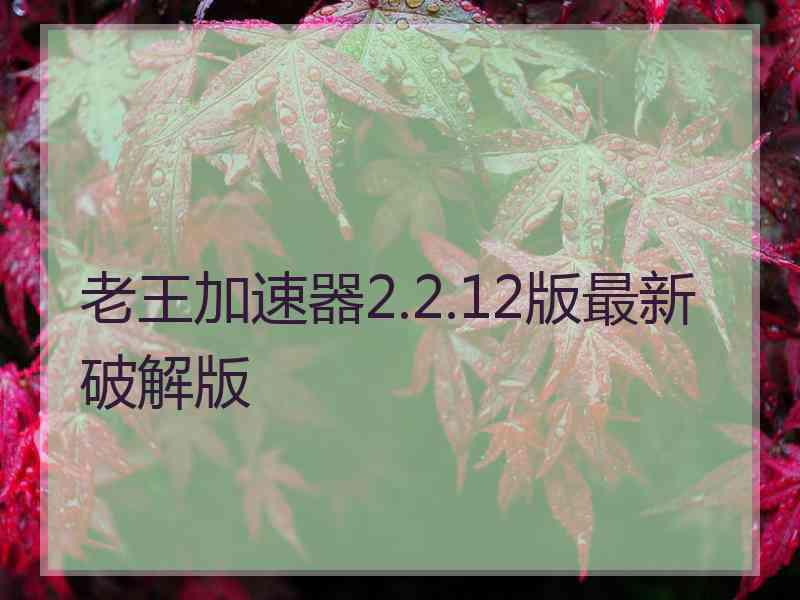 老王加速器2.2.12版最新破解版