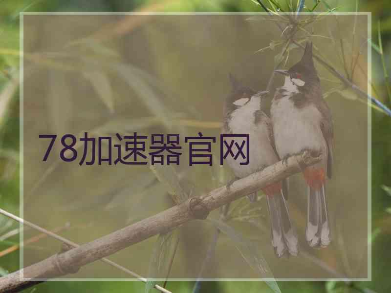 78加速器官网