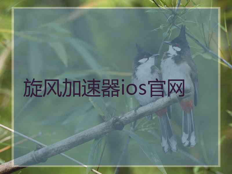 旋风加速器ios官网