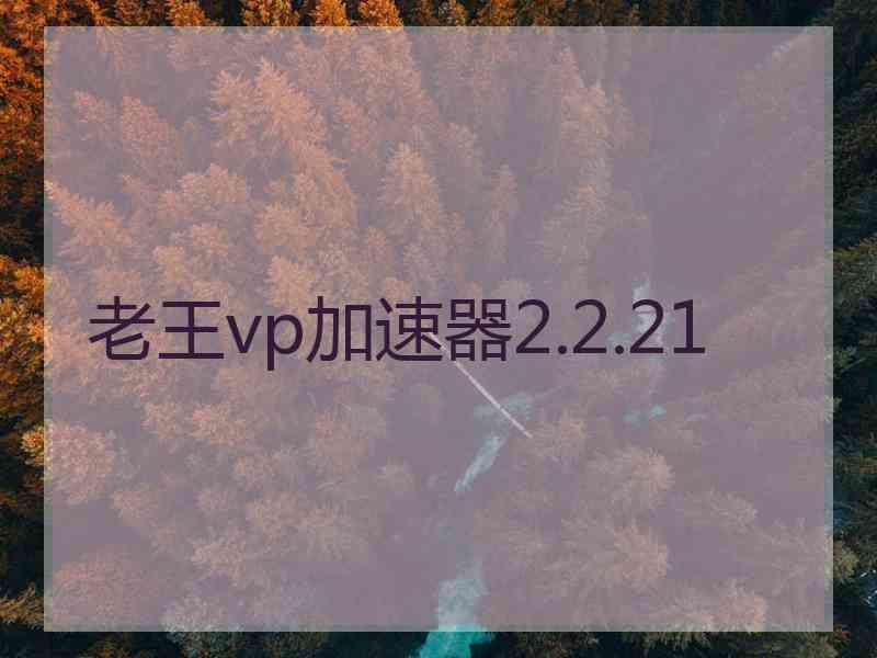 老王vp加速器2.2.21