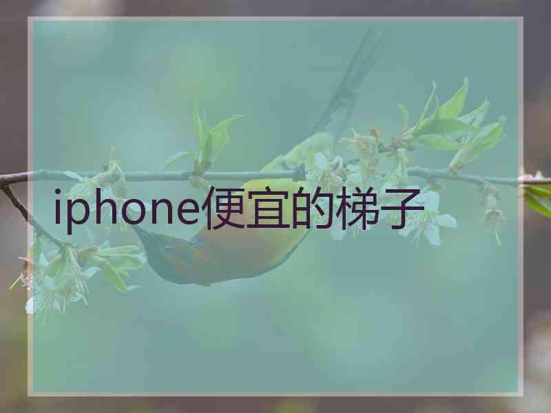 iphone便宜的梯子