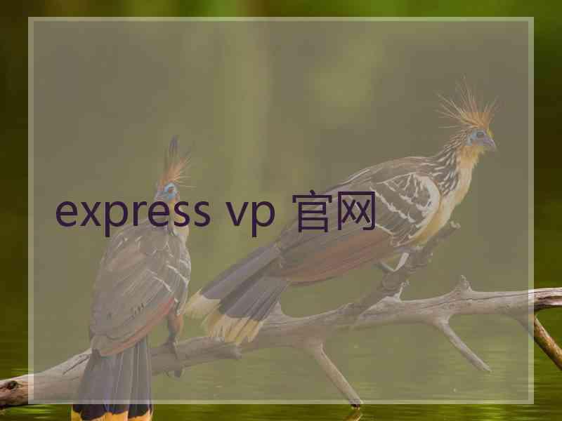 express vp 官网