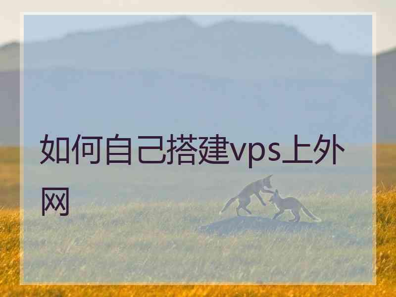 如何自己搭建vps上外网