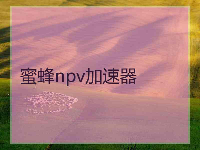 蜜蜂npv加速器