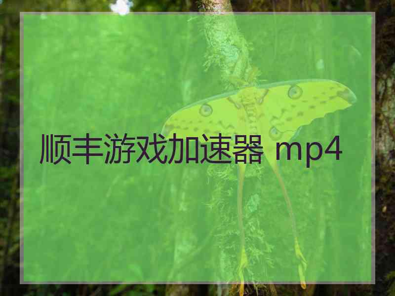 顺丰游戏加速器 mp4