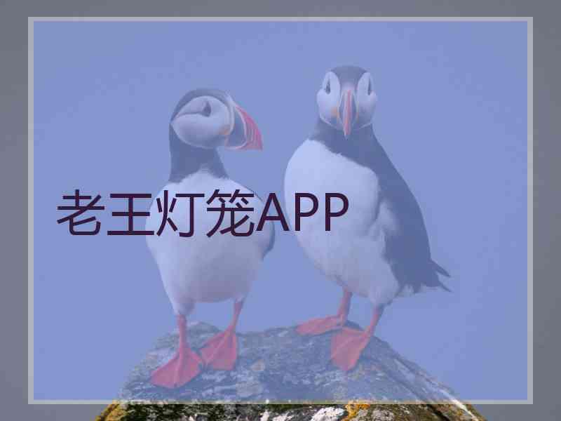 老王灯笼APP