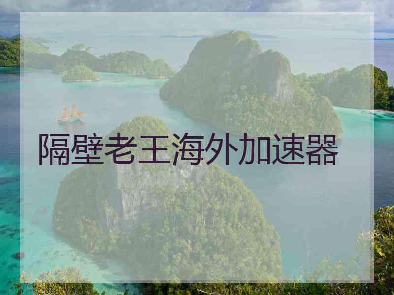 隔壁老王海外加速器