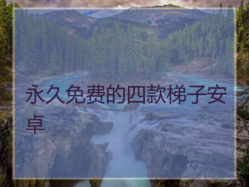 永久免费的四款梯子安卓