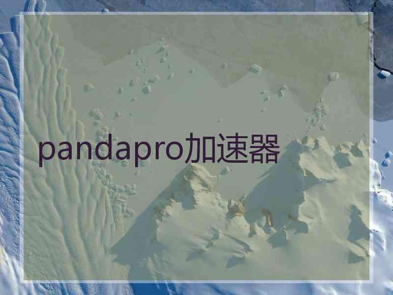 pandapro加速器