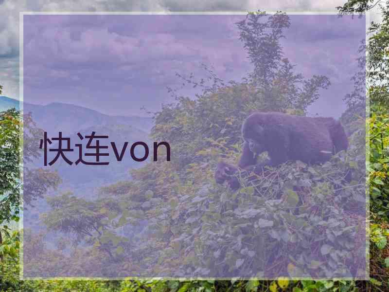 快连von