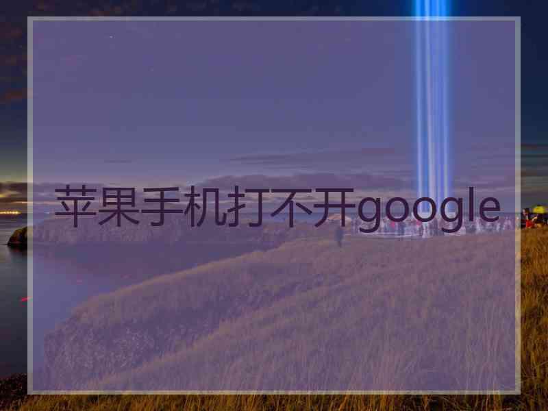 苹果手机打不开google