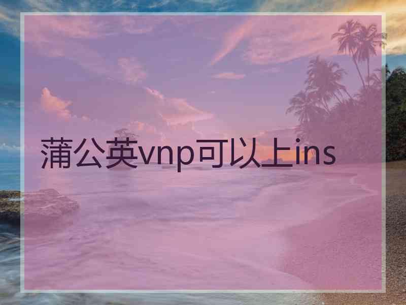 蒲公英vnp可以上ins