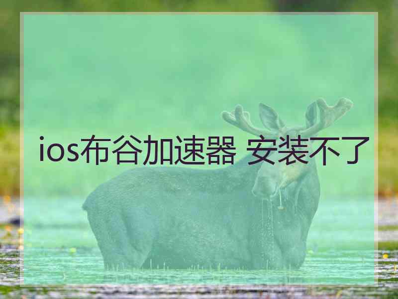 ios布谷加速器 安装不了