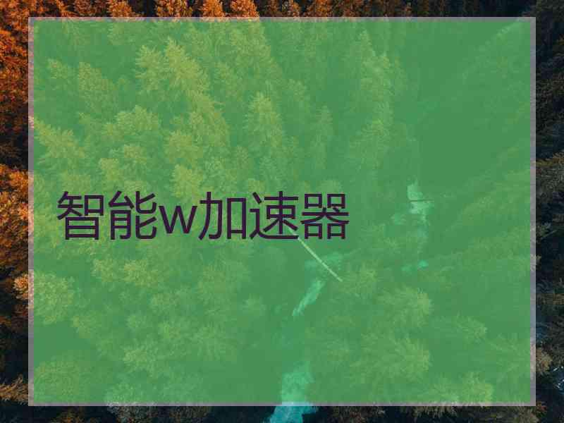 智能w加速器