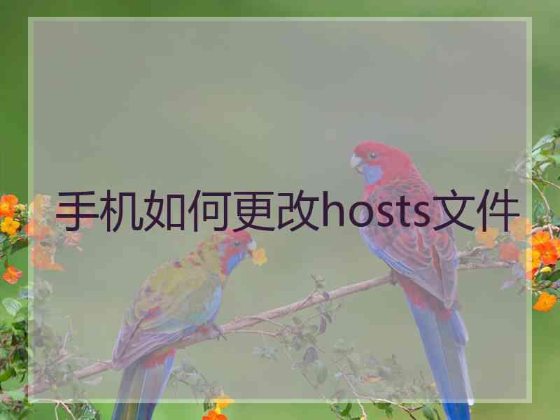 手机如何更改hosts文件