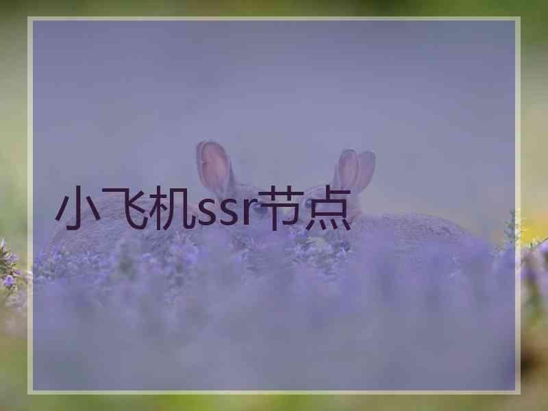 小飞机ssr节点